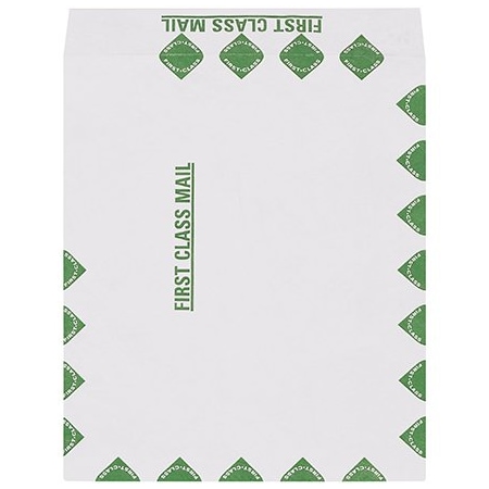 Bsc Preferred 9 x 12'' First Class Flat Tyvek Envelopes, 100PK BUY00029100
